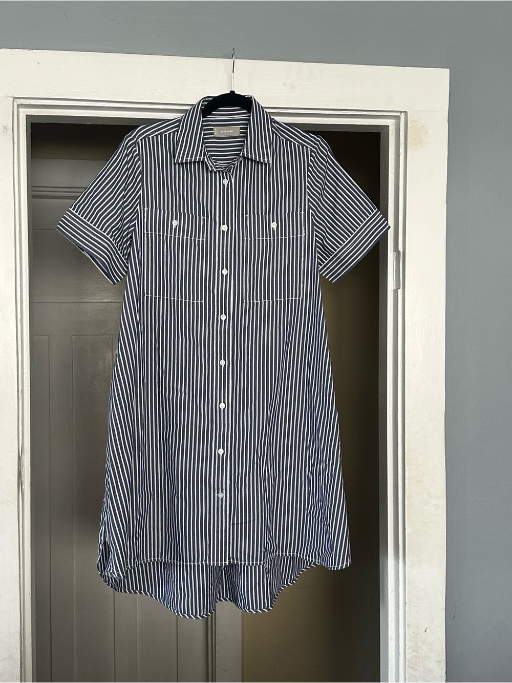 Everlane Daytripper Shirtdress